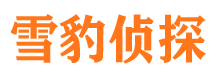 磴口市调查公司